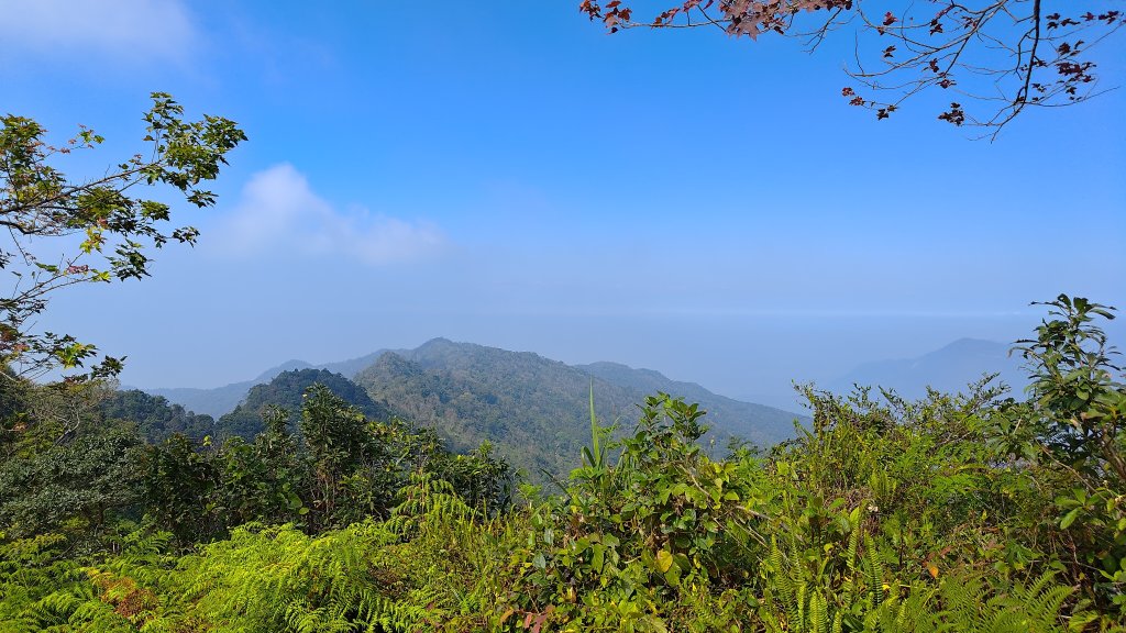 鱈葉根山封面圖