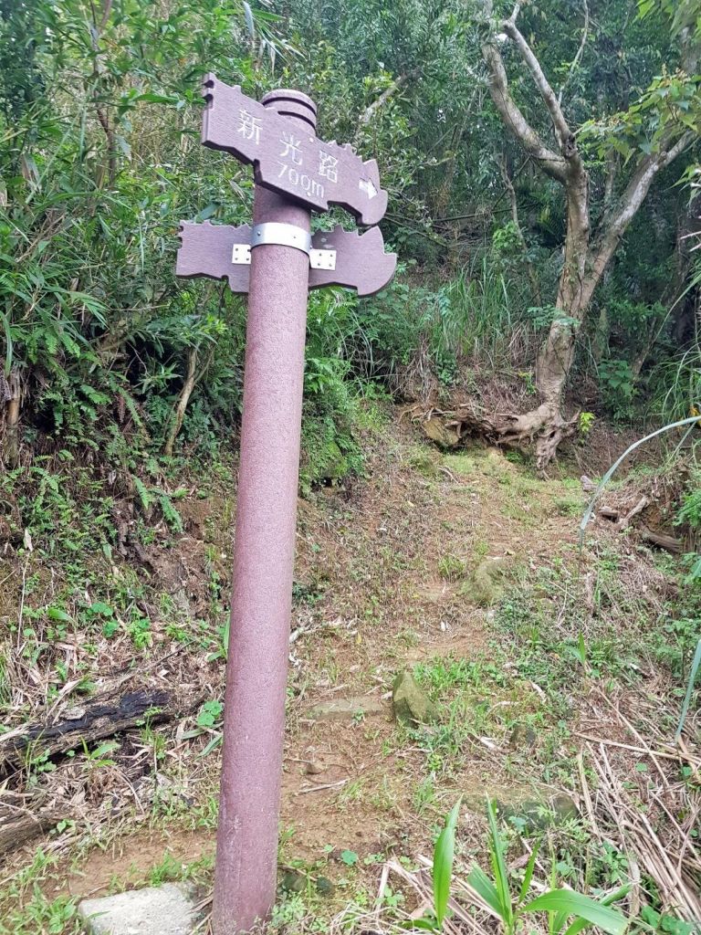 炮子崙步道_221462