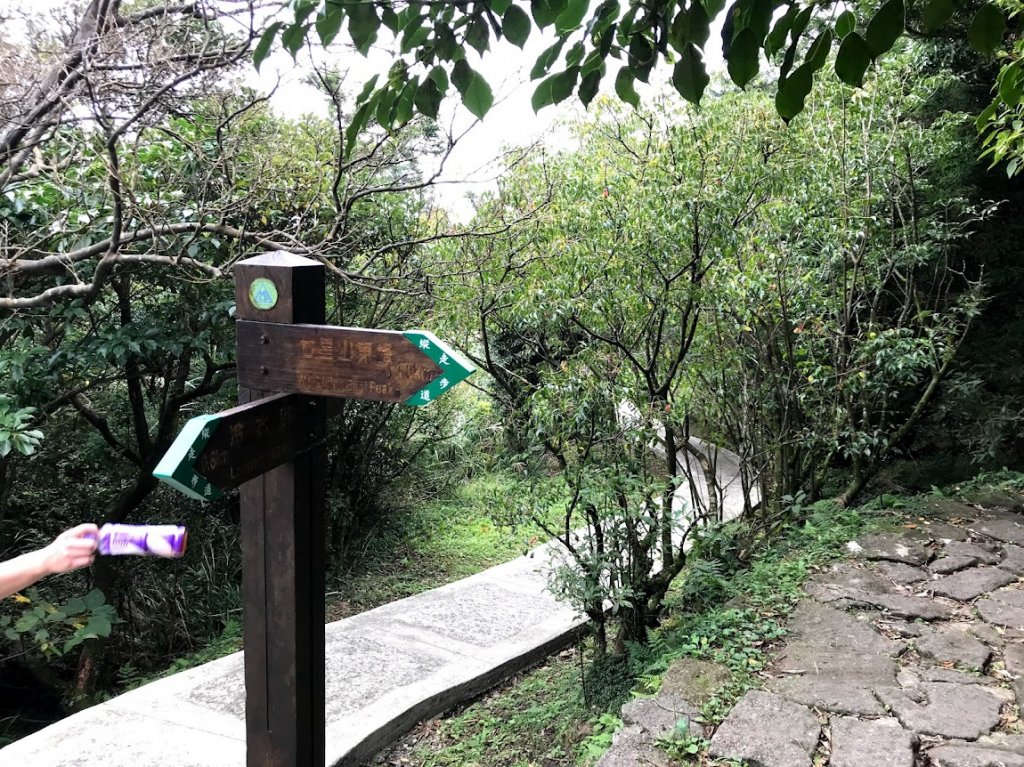 陽明山東西大縱走20191012_1968246