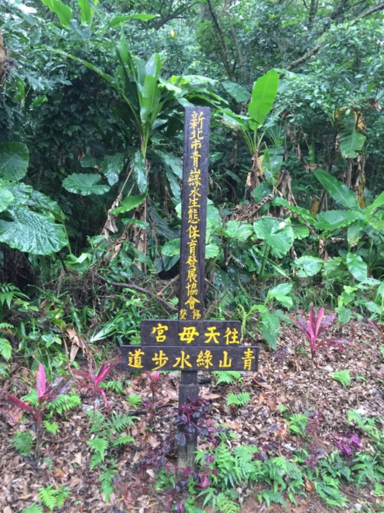 景安捷運-國旗嶺-長壽嶺圓通寺牛埔頭山_395968