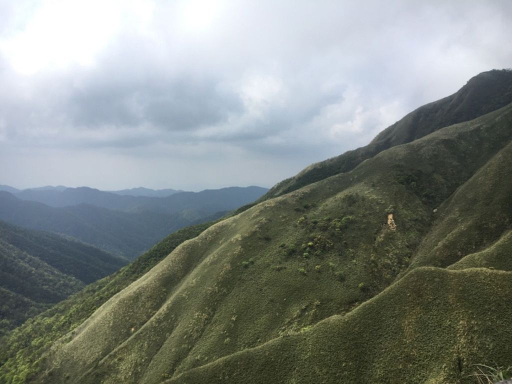 聖母山莊步道_303970