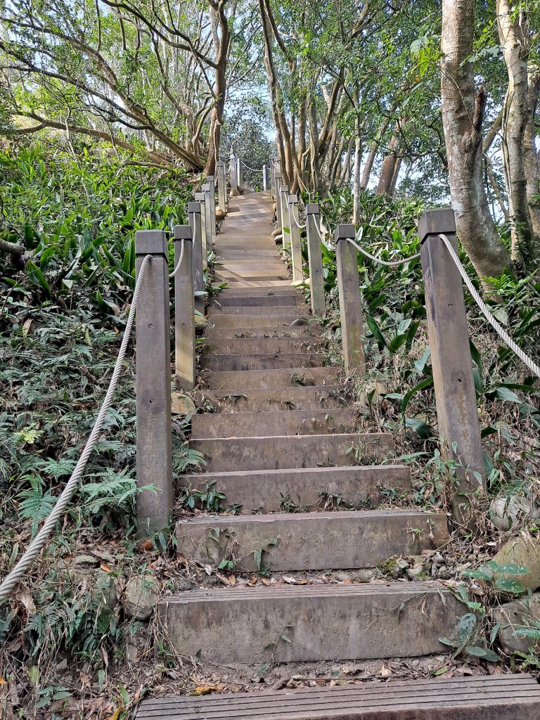 大坑步道(1~5&3-1、5-1)_1994995