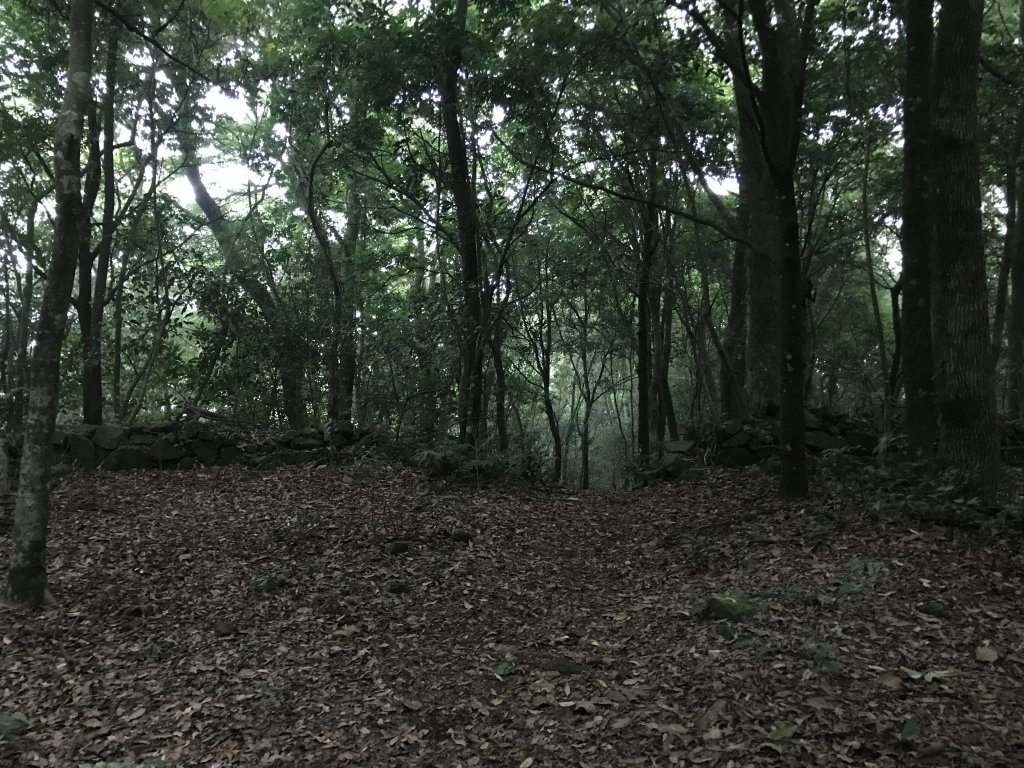 虎加龍縱走之秋_1120470