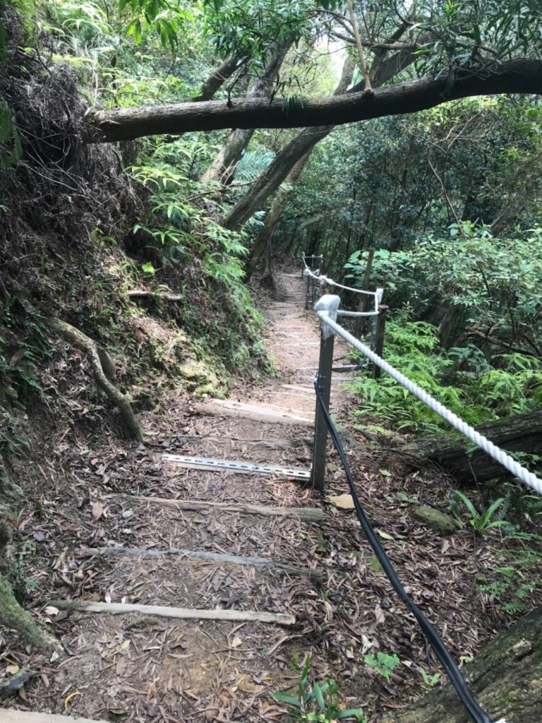 金面山、剪刀石108=0404_565903