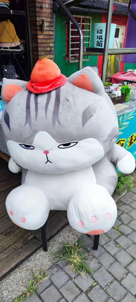 新北．三貂嶺友善生態隧道2023/08/08_2246239