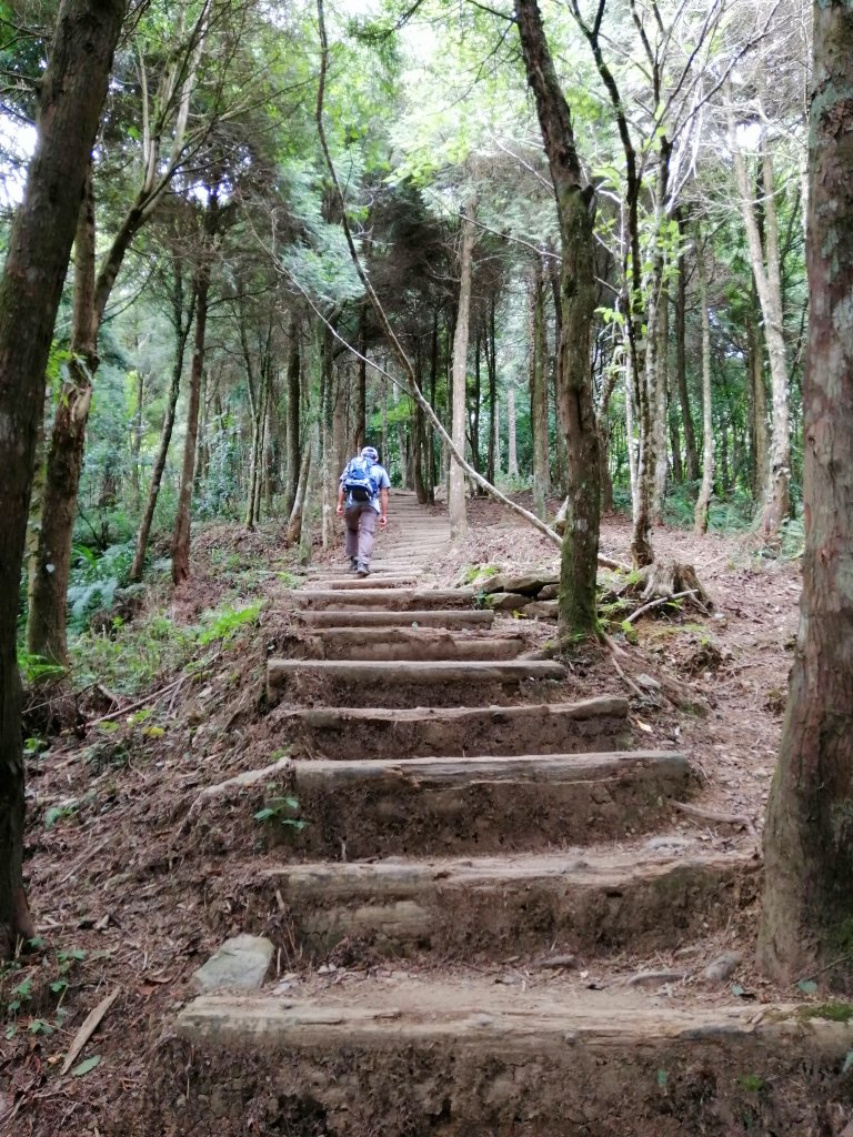 苗栗南庄～陡上陡下無冷場台灣富士山加里山_1086905