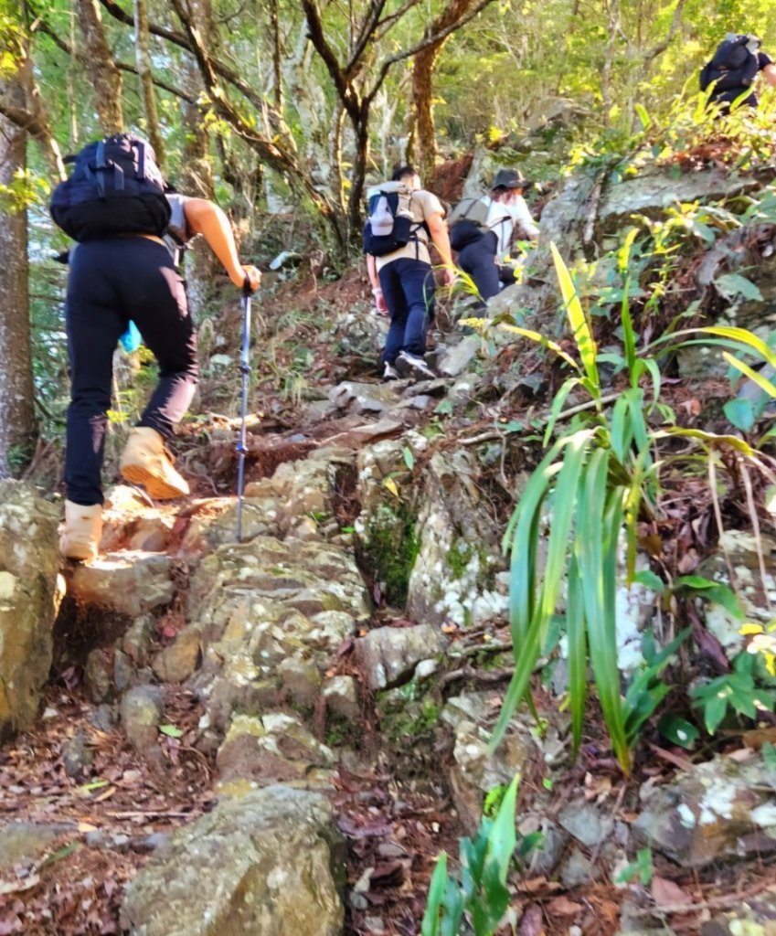 【中級山】五星級步道，谷關七雄馬崙山（八壯士進，斯可巴出）_2744956
