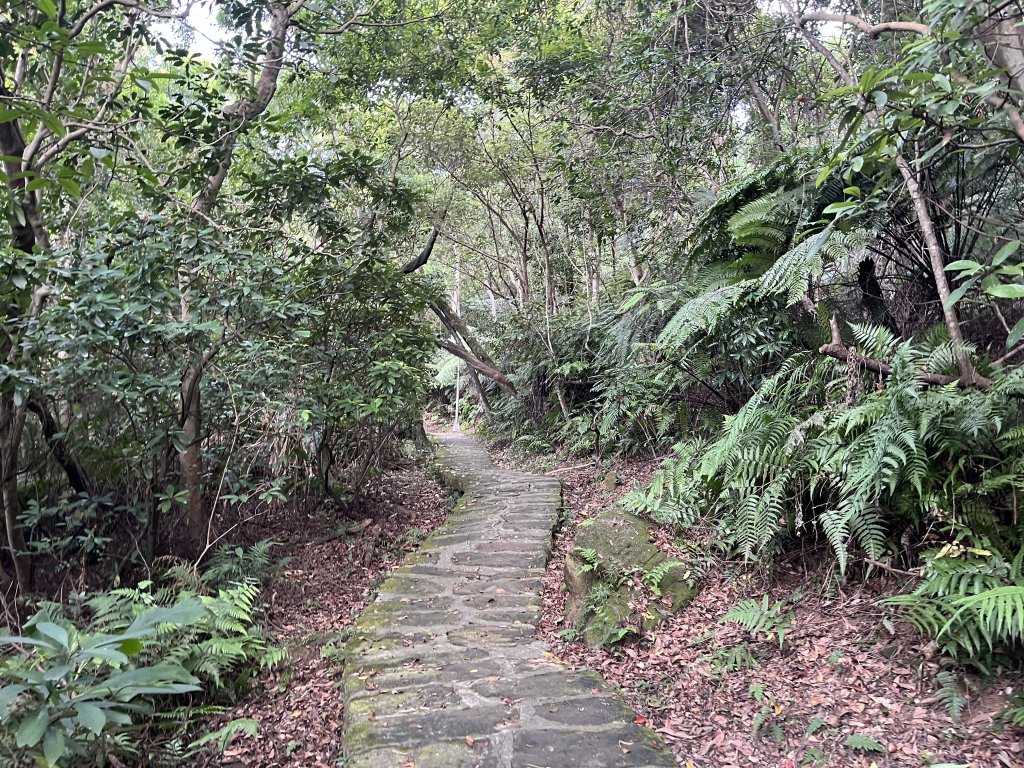 2024_0804 文間山_2566382