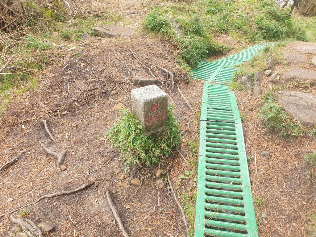 20220715鹿林前山、鹿林山、麟趾山、東埔山_1774809