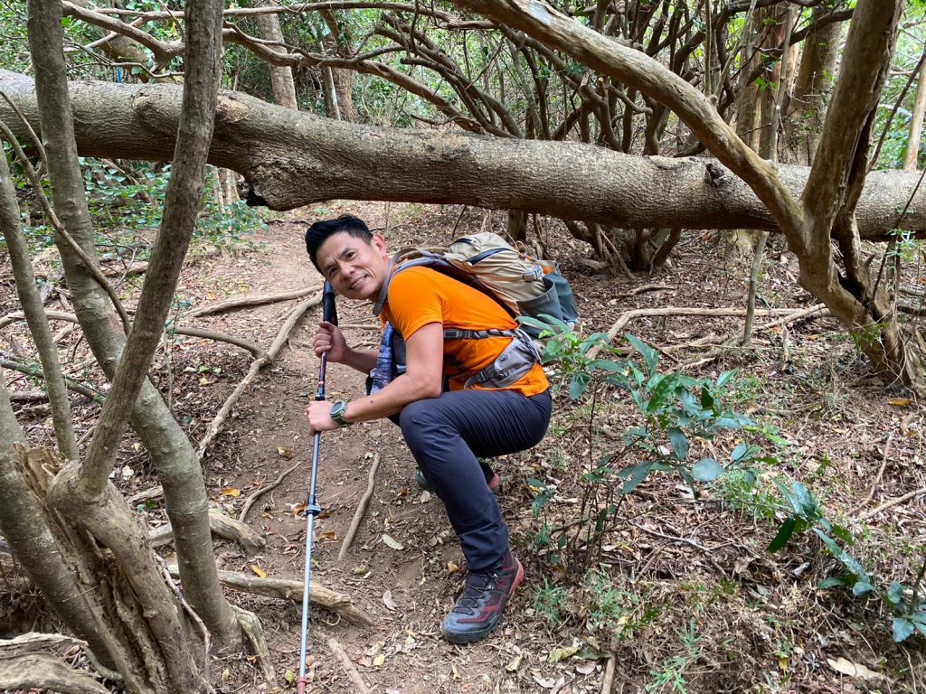 巴層巴墨山【一趟讓人刷新三觀的山林之旅】_2714505