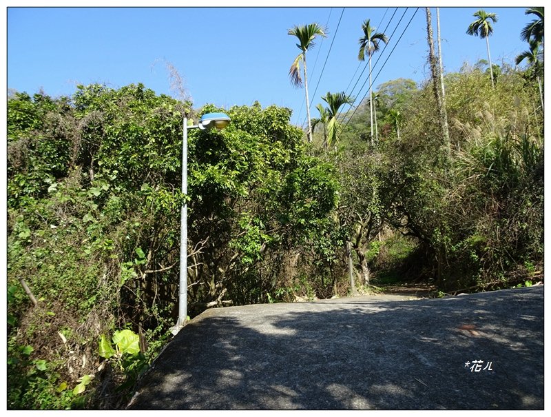 大坑風動石步道_1275454