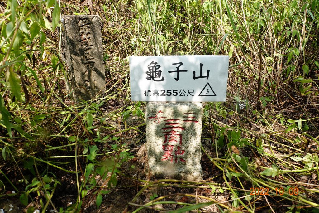 臺南 東山 龜子山封面圖