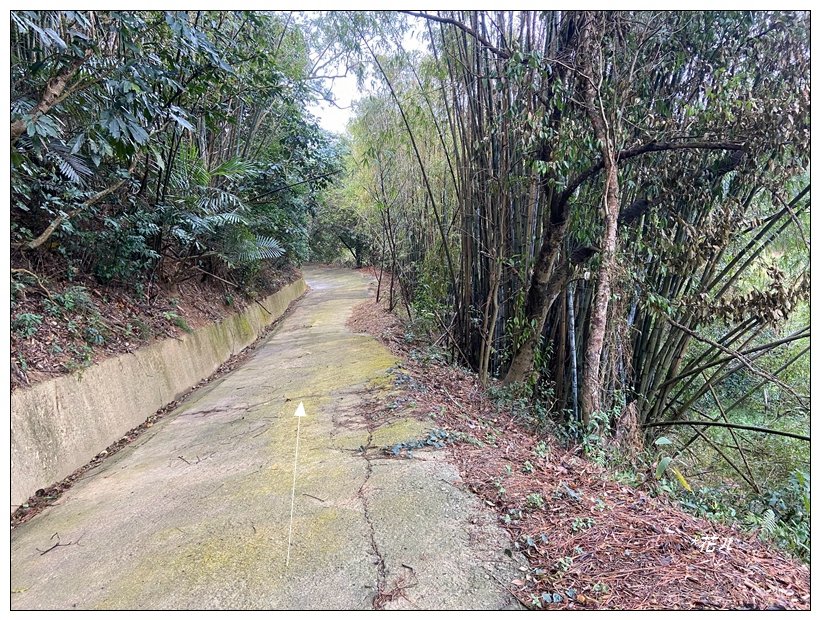 寶山迴龍步道、大統台山_2705049
