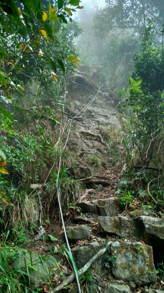 小百岳【三腳南山】_915763