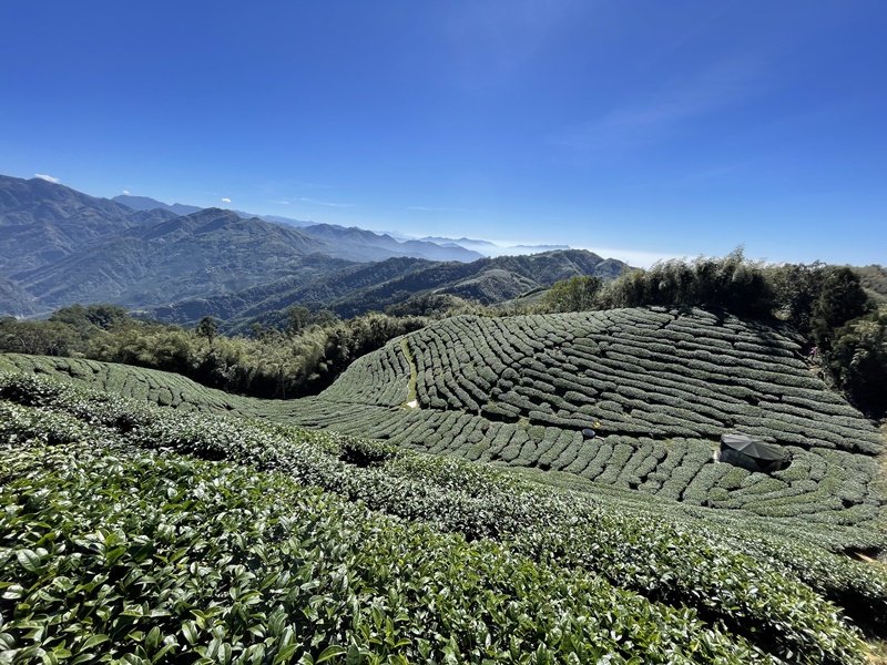 雲嘉七連峰_2663086