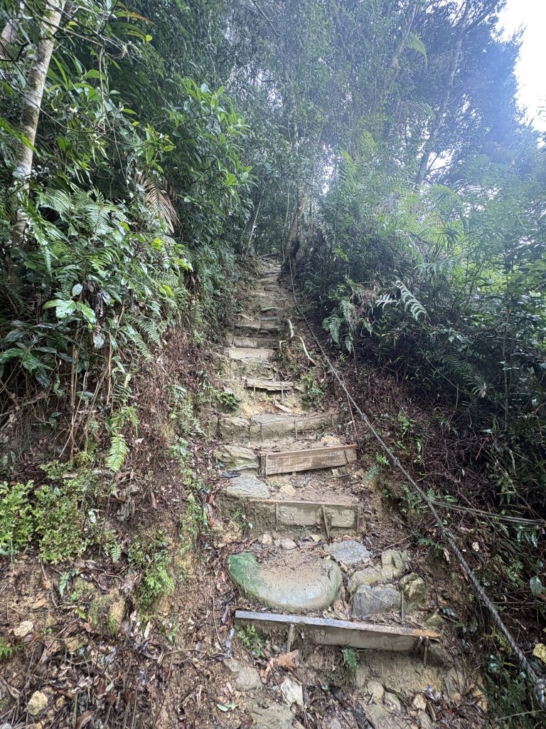 20251227尾寮山登山步道_2970528