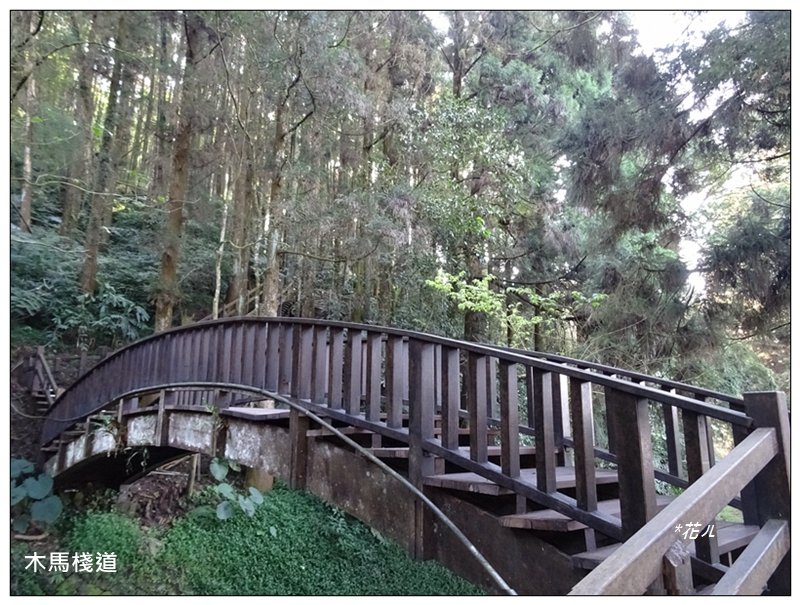 奮起湖木馬棧道_1615682