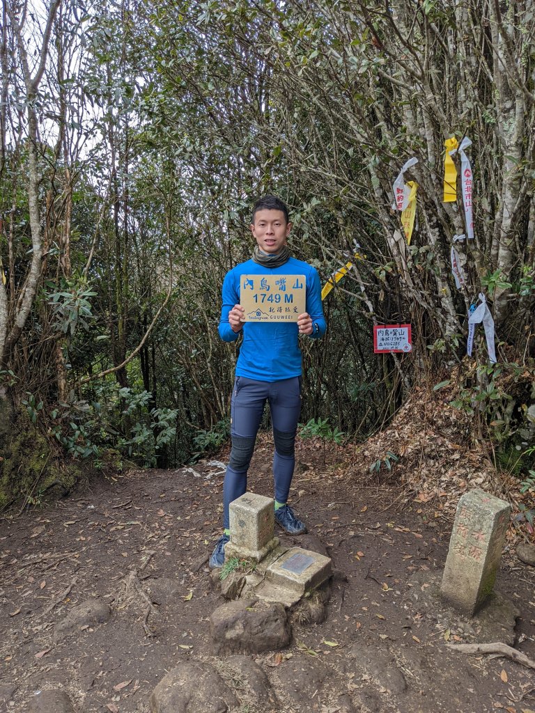 北得拉曼巨木步道之內鳥嘴山_1672386