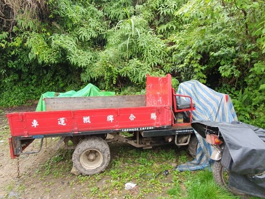 【花蓮秀林鄉】立霧山步道_905361