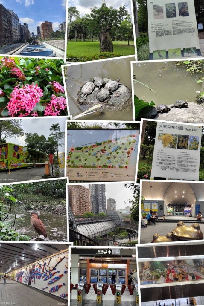 雲遊大安森林公園【走路趣尋寶，全臺齊步走】_2534711