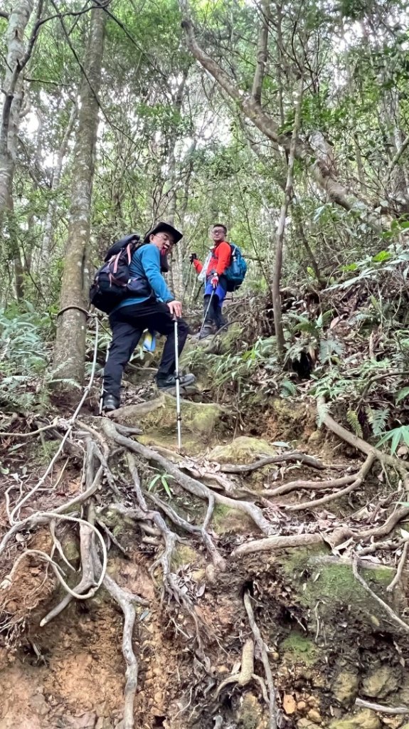 阿冷山 谷關第八雄_2877431