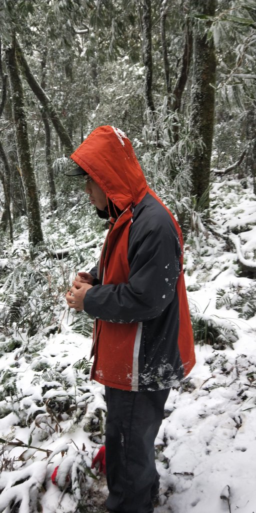 父子倆包山，內洞林道上大保克山群峰追雪_1232947