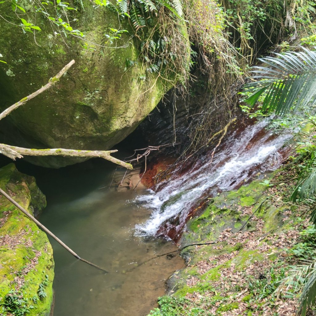 雅吾瑪斯步道_1704122
