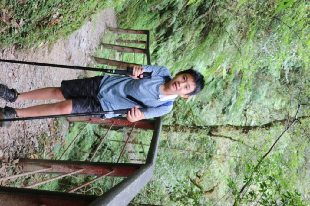 2022.08.22-拉拉山神木群步道_2013562