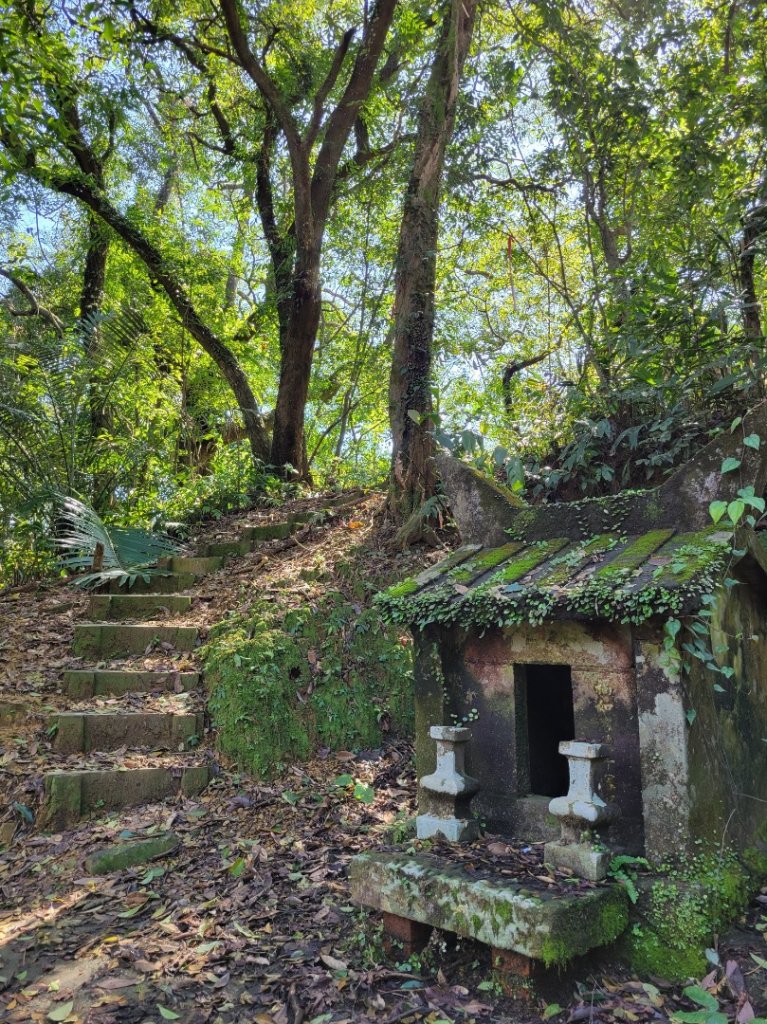 112.01.26 瑞芳-金字碑古道_2006762