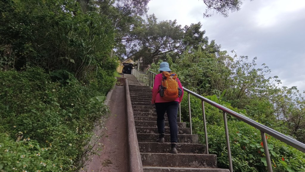 (姨婆趴趴走)第五十集:新北樹林大同山、青龍嶺、大棟山諸峰連走_2751535