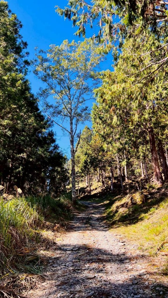 🌈11/29(六)-30(日)空靈系秘境~太平山-三星山(小百岳)⛰️+三星池~🌈_2952277