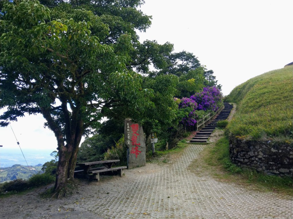 太麻里山(小百岳#94)《金針花季末期》_1467621