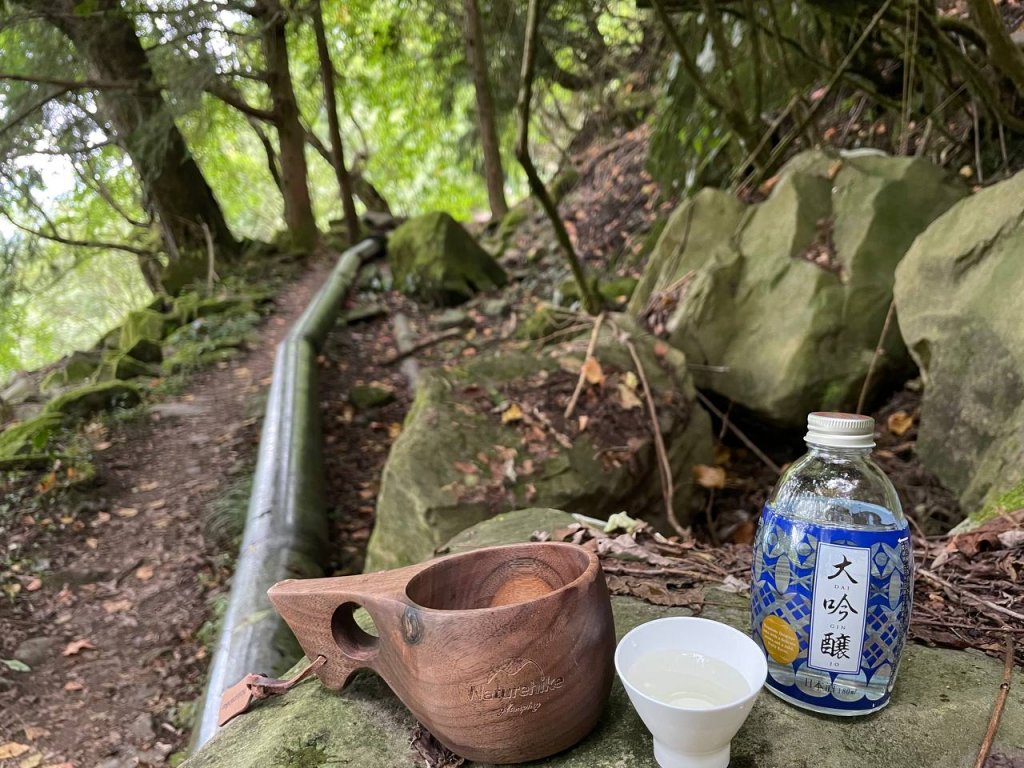 石山引水道 鹿林神木_1808958