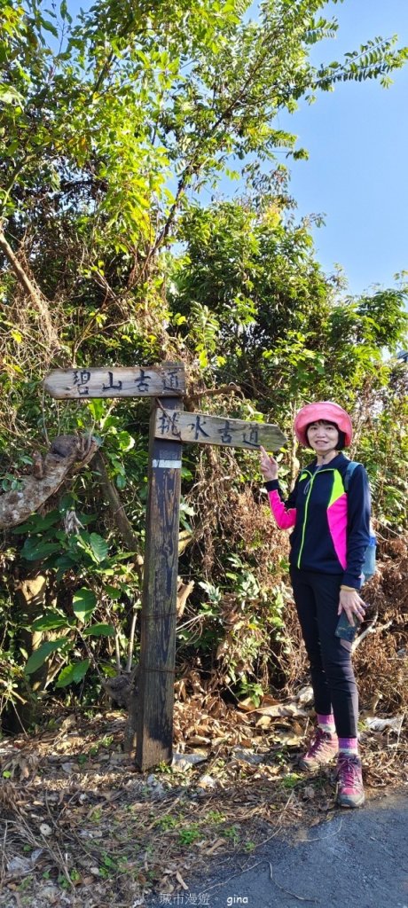 【彰化員林】視野豐富的郊山步道。 大峰巷步道x十八觀音步道x挑水古道x碧山古道O繞_2771931