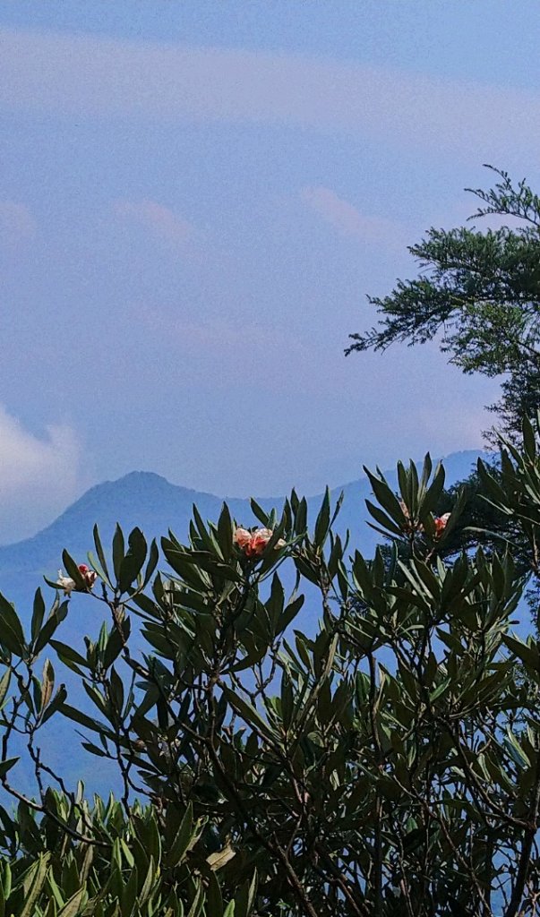 那結山（嘎色鬧部落線）_893404