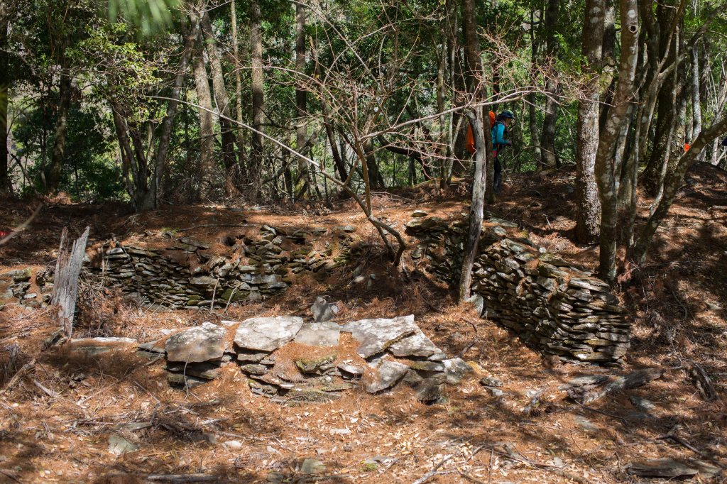 【高雄】多尾蘭山+玉穗山_870459