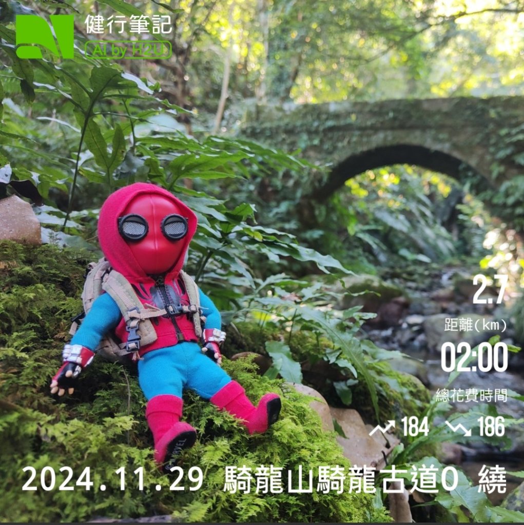 2024.11.29 騎龍山+騎龍古道封面圖