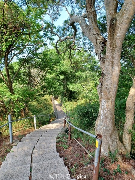 【苗栗造橋】適合親子悠閒踏青。劍潭古道_2533447