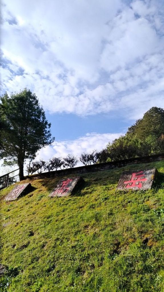 阿里山五奇_306305