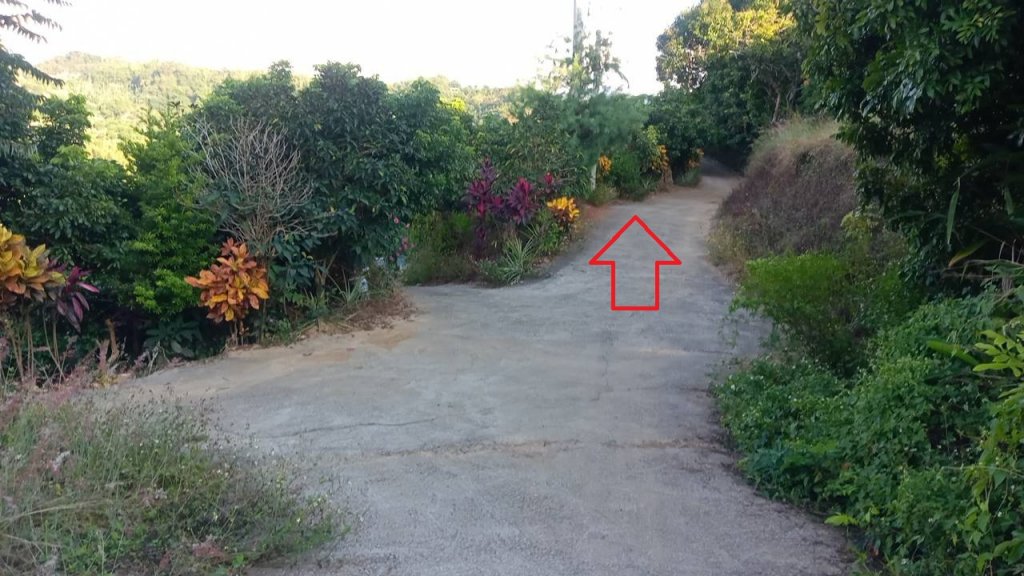 20221104台中霧峰 阿罩霧山O型Ⅱ（樟公巷-三角點-仁德巷-玉蘭谷-阿罩霧公園）_1899970