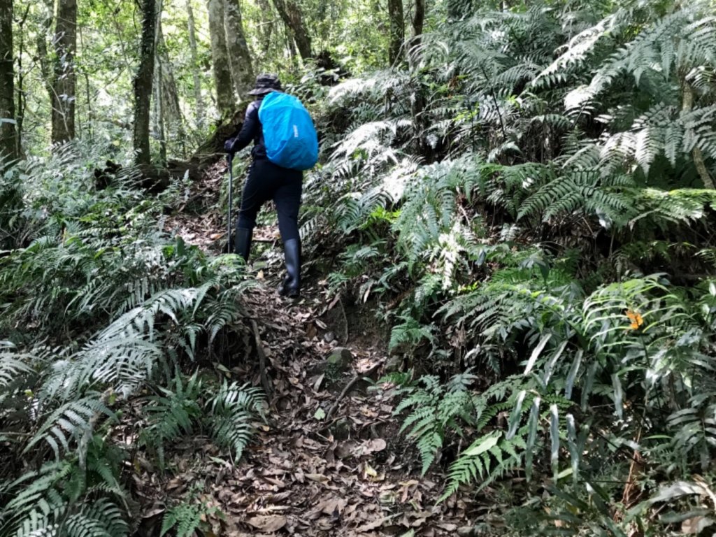 嘎色鬧走那結山_1370961