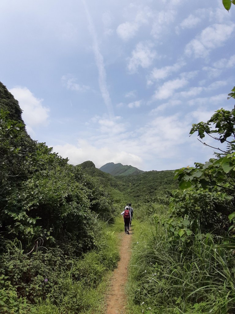 劍龍稜 + 小麓錐步道_595907