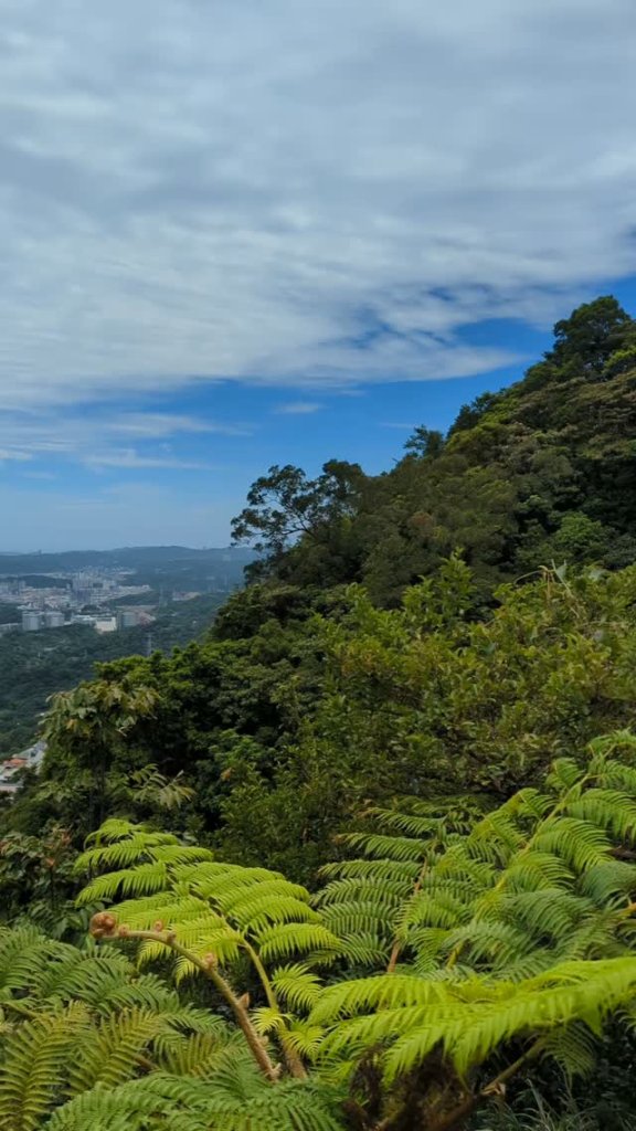 汐止大尖山封面圖
