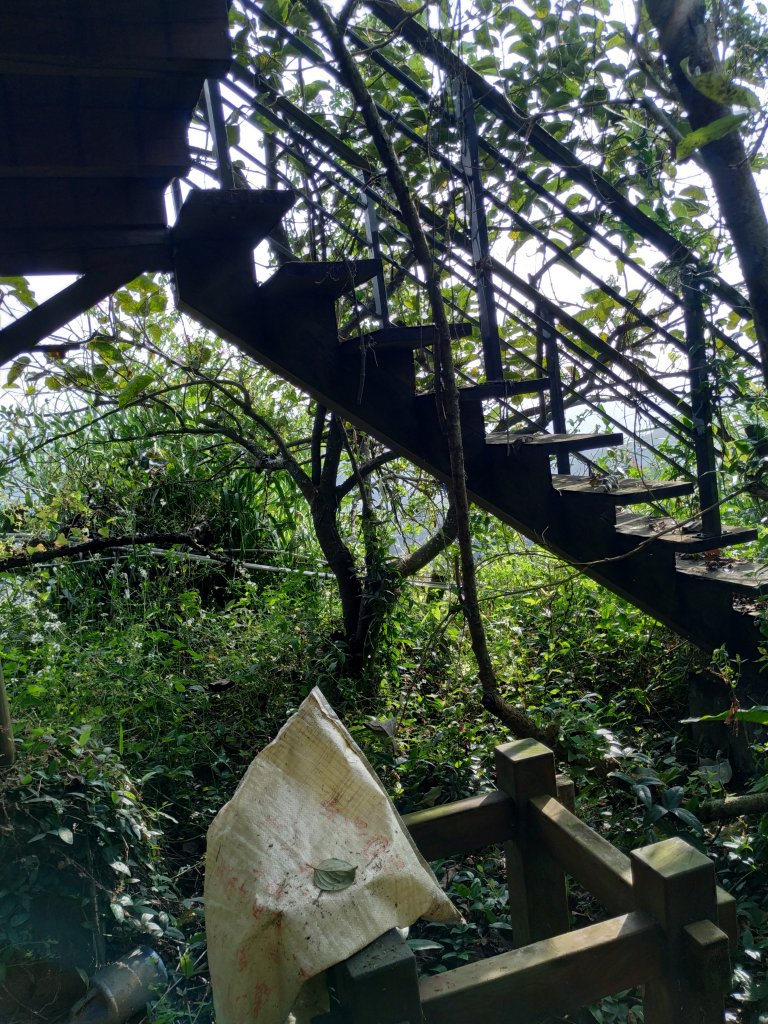 樟之細路主線踏查｜Day 10_755475