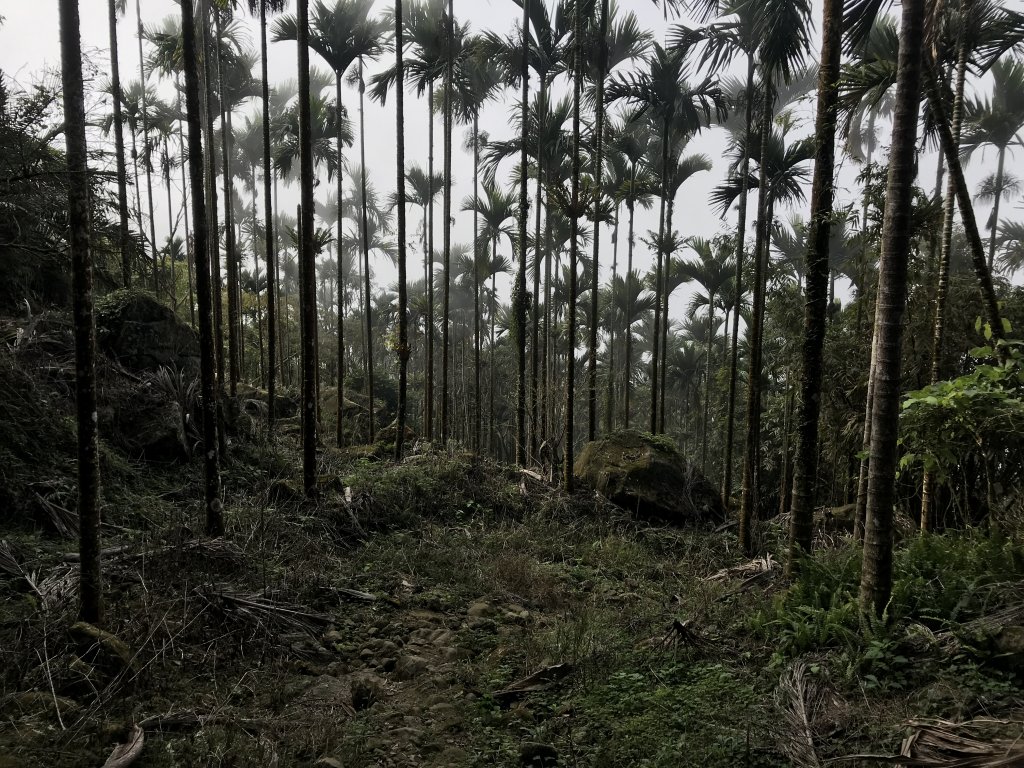 雞籠山x大凍山x九龍山_1221026