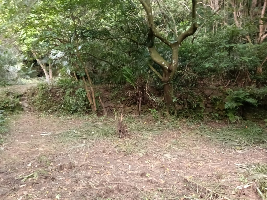 貢寮區龍洞坑古道+苦苓嶺+南雅山+海園古道O型_2954612