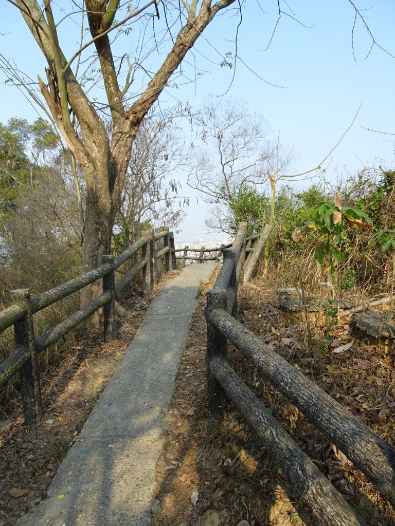 台灣小百岳第75座高雄大社-觀音山三角點_565777