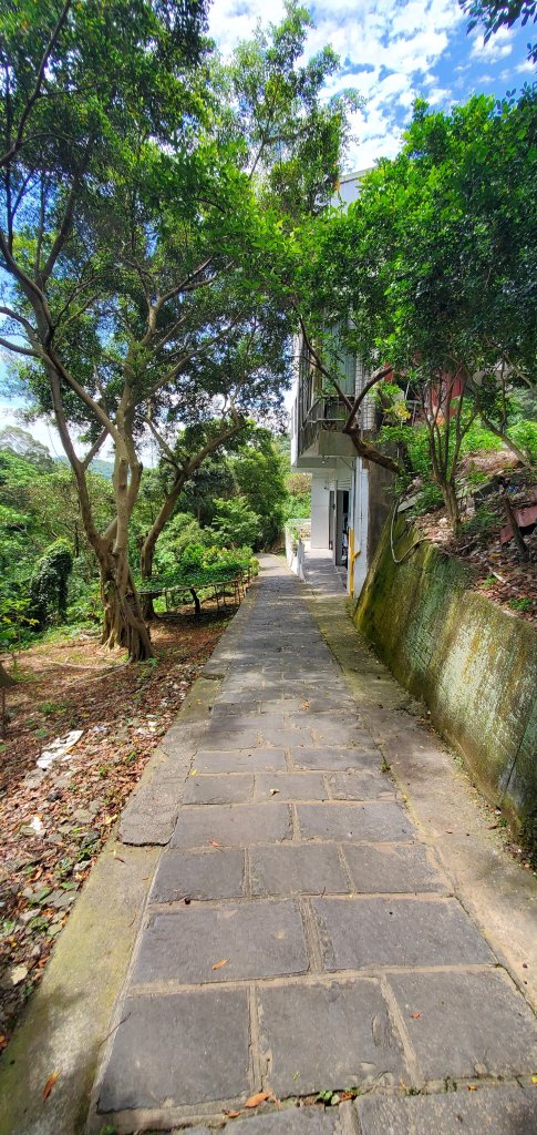 2024-06-15觀音山【福隆山、尖山(占山)登山步道】O走_2528190