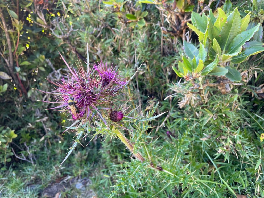 向陽日出，嘉明湖光_2866223