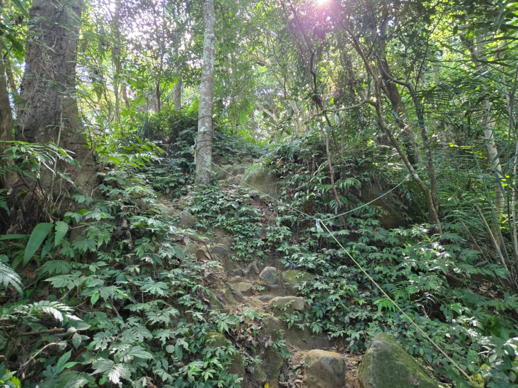 桃園石門山（小百岳）_2910048